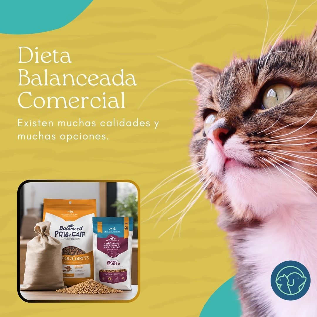 Dieta Balanceada Comercial